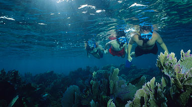 bästa snorkling grekland bästa snorkling grekland